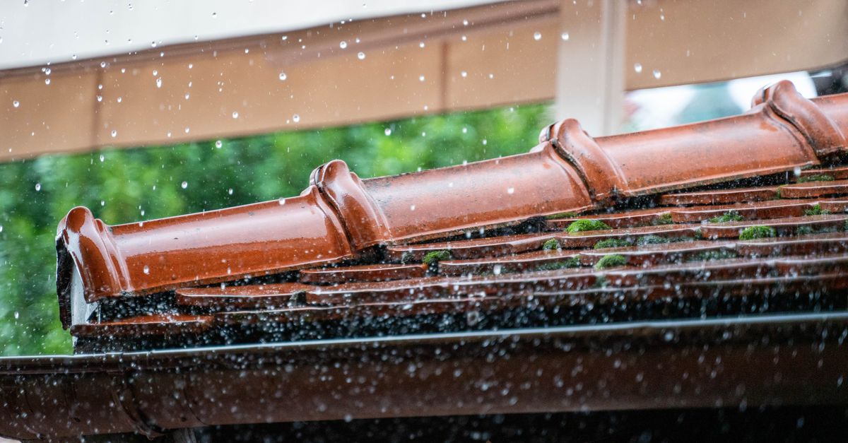Como preparar a casa para a época de chuva: guia completo de prevenção