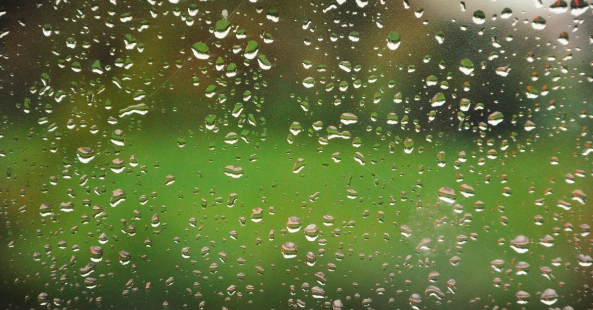 Janela de vidro coberta de gotas de chuva com um fundo verde desfocado de jardim visível através dela