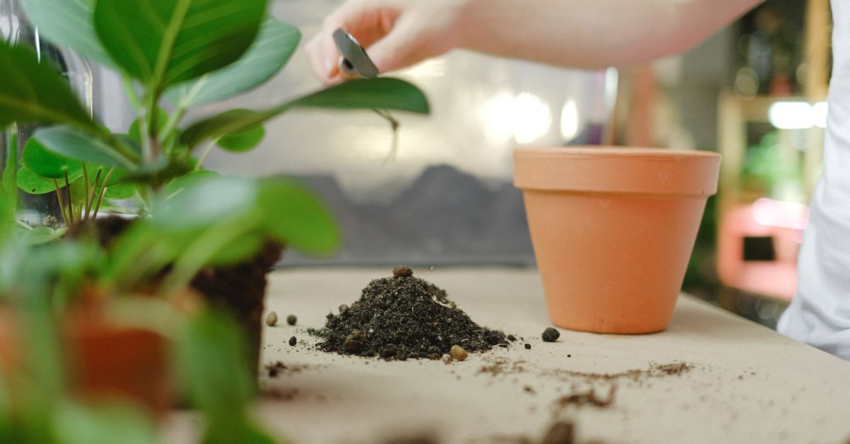 Mão com uma ferramenta de jardinagem mexendo na terra ao lado de um vaso de barro vazio e plantas com folhas verdes.